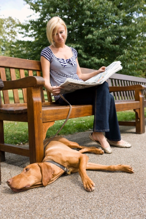 woman on a park bench reading newspaper with dog lying beside her.