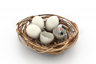 Don't put all your revenue eggs into one basket: diversify income streams on your website.